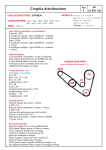 Cinghia distribuzione
