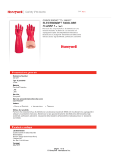 ELECTROSOFT BICOLORE CLASSE 3