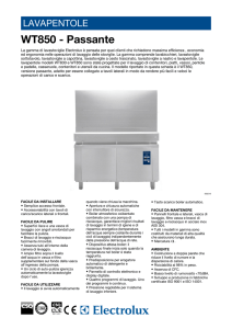 Lavaoggetti passante WT 850