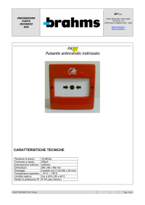 PAI02 Pulsante antincendio indirizzato