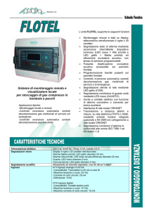 Sistema di monitoraggio remoto e visualizzatore