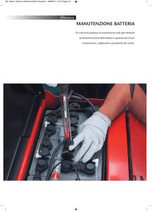 Visualizza la scheda della Manutenzione Batteria