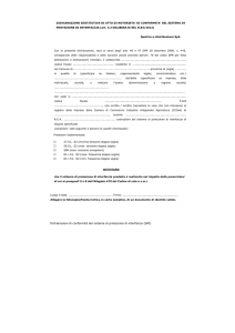 Dichiarazione conformità sistema di protezione di - e