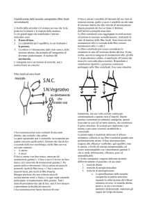 principi neurologici, giustificazione delle tecniche osteopatiche