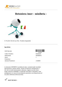 Betoniera imer - minibeta