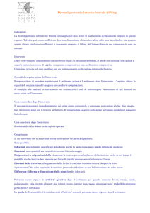 Dermolipectomia interno braccia