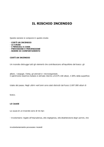 IL RISCHIO INCENDIO