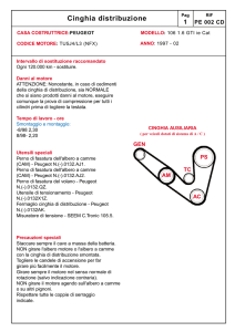 Cinghia distribuzione