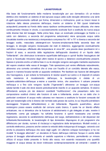LAVASTOVIGLIE Alla base del funzionamento delle moderne
