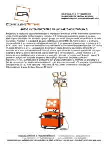 CONSULENZATTIVA di TAGLIANI MASSIMO 10630 UNITÀ