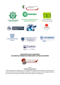 Regolamento per la concessione del marchio di garanzia – calzature
