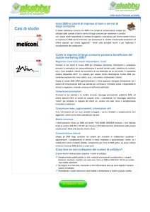 SMS advertising - utilizzo SMS aziende per campagne pubblicita