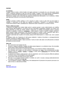 POPPER La sostanza Il popper (nitrito di amile o nitriti di