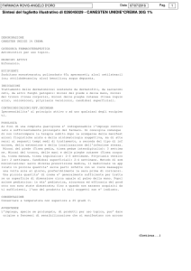 Sintesi del foglietto illustrativo di 026045029