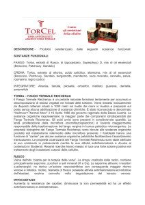 SOSTANZE FUNZIONALI FANGO: Torba, estratti di Rusco, d