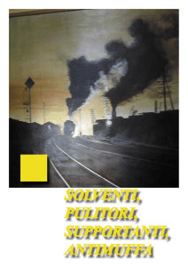 solventi, pulitori, supportanti, antimuffa