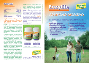 sostegno digestivo sostegno digestivo