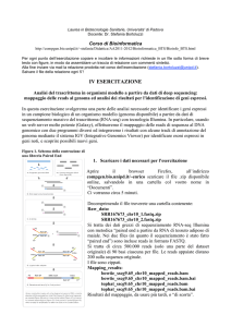 IV ESERCITAZIONE