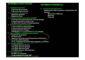 5. corso 2011-2012 ASSEMBLAGGIO
