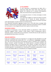 Beta Talassemia