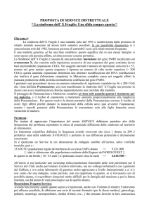 Service DISTRETTUALE x-fra LIONS