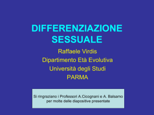 differenziazione sessuale