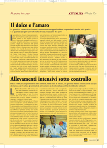 Il dolce e l`amaro Allevamenti intensivi sotto controllo
