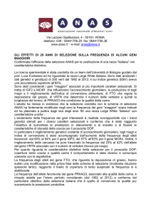 gli effetti di 20 anni di selezione sulla frequenza di alcuni