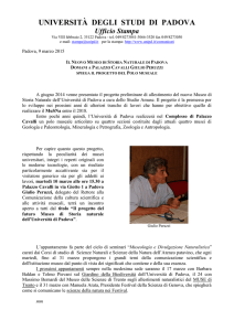 Il Nuovo Museo di Storia Naturale di Padova