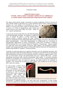 Comunicato stampa