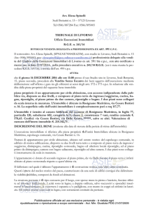 Avv. Elena Spinelli Scali Bettarini n. 15