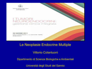 Presentazione di PowerPoint