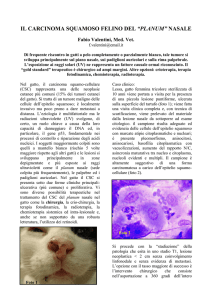 Leggi l`articolo