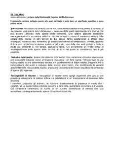 GLOSSARIO Ipervolume: Hutchison ha formalizzato la relazione