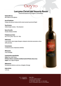 Lacryma Christi del Vesuvio Rosso