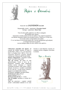Sauvignon - Pojer e Sandri