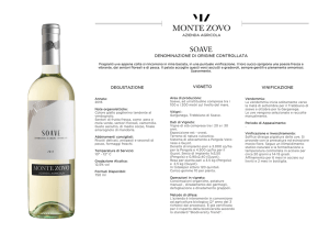 Monte Zovo Soave 2015