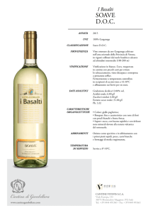 pdf - cantina di gambellara