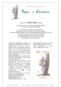 Pinot Nero - Pojer e Sandri