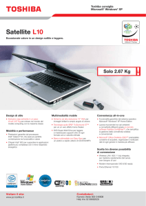 Satellite L10