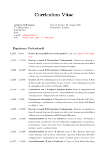 Curriculum Vitae -- Andrea Dell`Amico