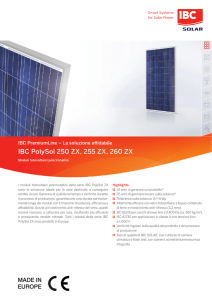 IBC PolySol 250 ZX, 255 ZX, 260 ZX