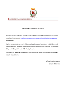 Dati sul traffico web del sito del Comune Sostenuti i numeri del