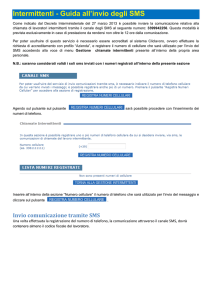 guida all`utilizzo