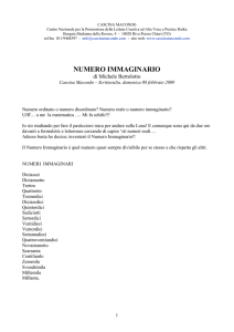 Numero immaginario