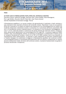 PM65 UN RARO CASO DI FIBROELASTOMA PAPILLIFERO DEL