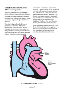 CARDIOMIOPATIA DILATATA Dilated Cardiomyopathy