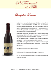 Beaujolais Nouveau