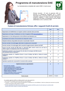Programma di manutenzione DAE