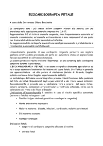 ecocardiografia fetale